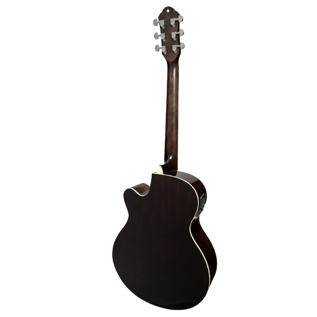 Dark Brown Back Side Guitar