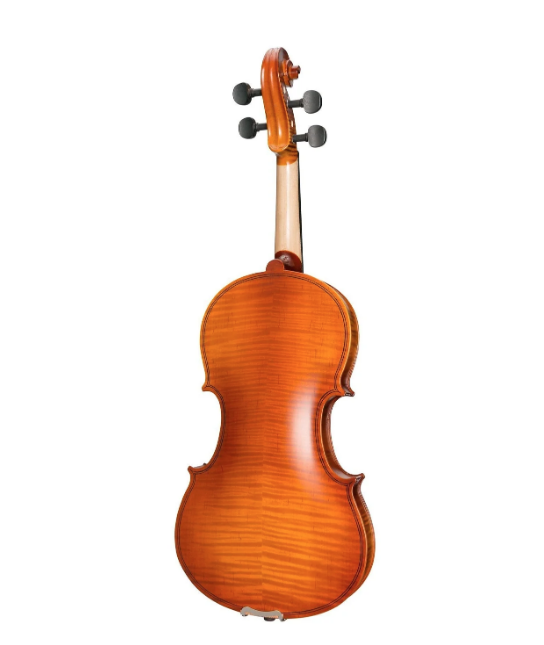 violin-set-violin-back