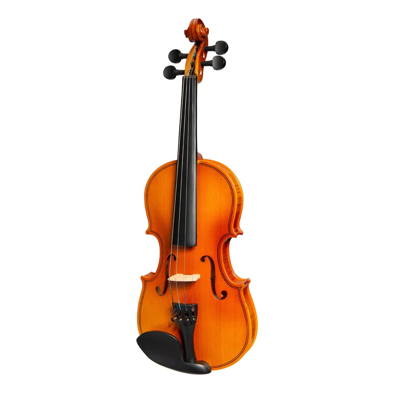 12-Size-Student-Violin-Set