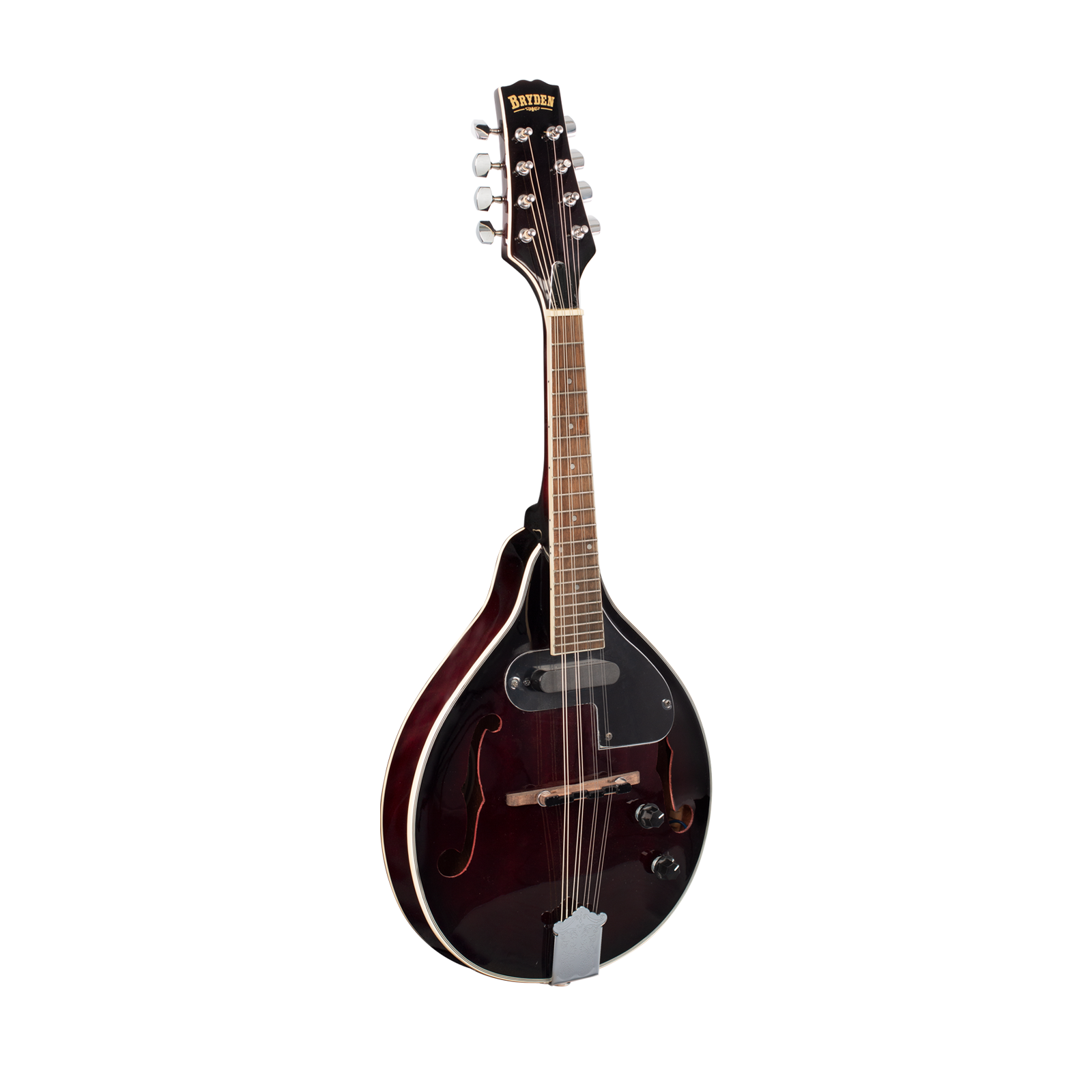 Electric mandolin store neck