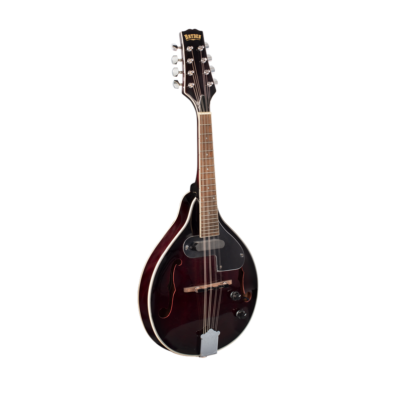 Bryden Elec/Ac Mahogany Arch Top Mandolin